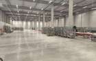 Parc logistic in curs de dezvoltare Ghimbav BV - 2