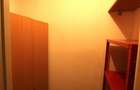 Apartament , 2 camere , zona Take Ionescu - 9