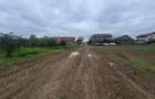 🔥 INVESTIȚIE! Teren 4000 mp Măgurele – 2 căi de acces + utilități - 2