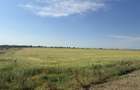 Teren 10 hectare pretabil pt panouri solare-Aricesti Rahtivani - 9