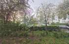 Apartament renovat total in Manastur, zona Big - 16