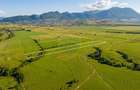 Teren 8,329mp Râșnov / Extravilan / COMISION 0% - 6