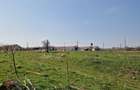 Fermă de vânzare 8 ha – Balș, județul Olt - 13