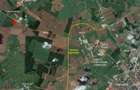 Teren Industrial cu PUZ de vanzare pe Calea Torontalului - 3