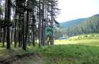 Teren Poiana Angelescu, Sacele, Brasov - 16