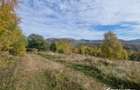 Teren de vanzare – Muntele Baisorii, 1000 mp, vedere spre rezervatia Belioara - 3