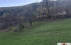 Vanzare casa cu 17399 mp teren Vintu de Jos - Valea Vintului - 5