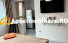 Garsoniera de inchiriat Teiul Doamnei București | ApexImobiliare.ro - 5