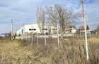 Afumati - Str. Iasomiei, 2409 MP, stradal, intravilan, deschidere 12 m - 19