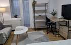Apartament de inchiriat, 1 cam McDonalds Gara Iasi, 15 min UMF, UAIC, proprietar - 8