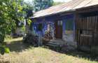 Teren intravilan 2828 mp+autorizatie casa-anexe-livada-Dorolea - 3