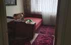 Apartament 3 camere spațios | Centrul Civic | 2 balcoane | Poziție excelentă - 9