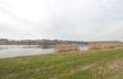 Loturi Teren Frumusani - Lac Pasarea | Localizare Extraordinara - 5