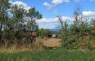 Teren intravilan pentru casa sau vacanta, Lunca, Baia de Cris - 5
