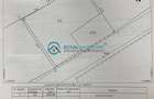 Royal Imobiliare - Spatiu industrial - service auto - 13