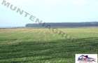 Afumati - Tarla 9, teren agricol in suprafata de 9.200 mp. - 2