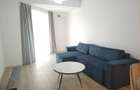Vulcan Residence, 3 camere - 13