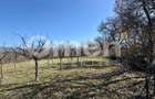 Teren intravilan | Berința | 5800 mp - 6