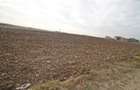 Teren intravilan - 17000 mp - zona Lazu - 4