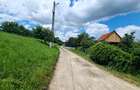 CASA DE VANZARE PODUL OLTULUI CU ACCES PRIVAT - 19