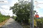 Balotesti Central1  1685 mp pretabil comercial - 1