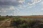 Teren intravilan &icirc;n orașul Măgurele, la limita cu Bucureștiul - 3