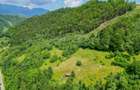Investitie Smart in Moieciu, 3.1 ha, Panoramă 360 Bucegi - Piatra Craiului - 9