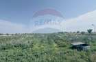 Teren agricol 16.750mp în Cârcea, imprejmuit, cultura capsuni, solarii - 6