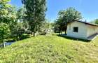 Casă individuala 2 camere in Perieni- Probota cu iaz propriu - 2