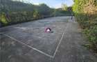 Vila 6 camere Snagov - 8