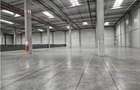 Spatiu Industrial - 6000 mp - Logistica - Productie - Depozitare - Distributie - 3