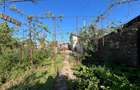 PROPRIETATE 250MP TEREN + CASA 101MP I KM 5 I OPORTUNITATE INVESTITIE - 12