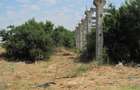 Magurele - Atomistilor, Zona Mixta - 5
