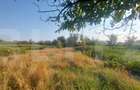 Casa de vanzare, 80 mp, teren 1782 mp, zona Belin - 13