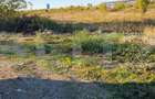 Teren 5000m2 Targoviste - ZONA INDUSTRIALA C.O.S. TGV - 5