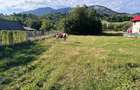 Teren plat construibil, parcelabil, acces drum județean zonă montană superbă   - 1