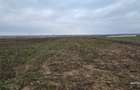 Teren drept Manastirea Doamnei, deschidere mare - 2