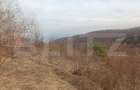 Teren extravilan, 12000 mp, curent com. Ramet - 2