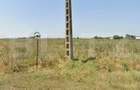 TEREN INTRAVILAN 1ha front 70 ml BUDA - 4