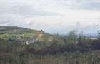 Teren intravilan Podgoria 7000mp