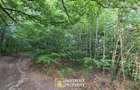 Pădure și pășune de vânzare 8,2037 ha Borod, Bihor