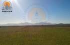 Teren intravilan Dobolii de Jos 47.700 mp | PUZ+autorizație | POT 50% - 8