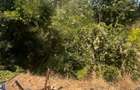 TEREN INTRAVILAN - 2500 MP - Valea Mare- Podgoria - 7