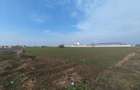 Dragomiresti Valea - Langa Centura, teren 15.600 mp, 28E/mp - 10