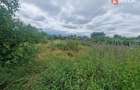 Teren intravilan de 1438 mp de vanzare, in Recas - 6