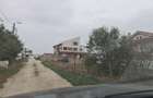 Teren de vanzare Palazu Mare - 10