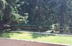 Casa de vacanta cu 5 camere de vanzare in Vartop - Arieseni, jud Bihor - 2