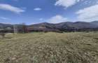 Teren intravilan la baza pădurii Valea Doftanei sat Traisteni (poduri) - 4