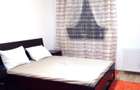 Apartament proaspat renovat. 3 camere. 2 bai. pet friendly. 13 sept. Prosper  - 1