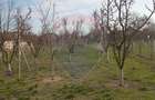 Teren Vladimirescu-  Zona Excelenta  2954 MP INTRAVILAN!!! - 5
